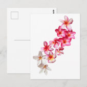 Plumeria Bloemen Collage Briefkaart (Voorkant / Achterkant)