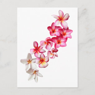 Plumeria Bloemen Collage Briefkaart
