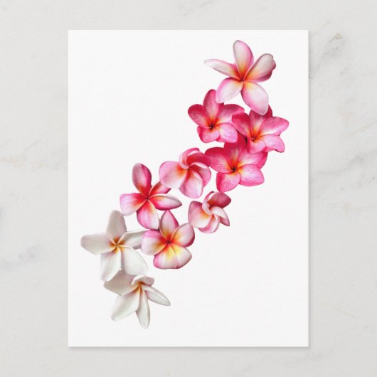 Plumeria Bloemen Collage Briefkaart (Voorkant)