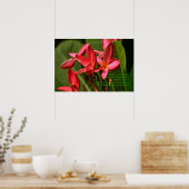 Plumeria bloemen foto met Khalil Gibran citaat Poster (Keuken)