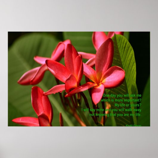 Plumeria bloemen foto met Khalil Gibran citaat Poster (Voorkant)