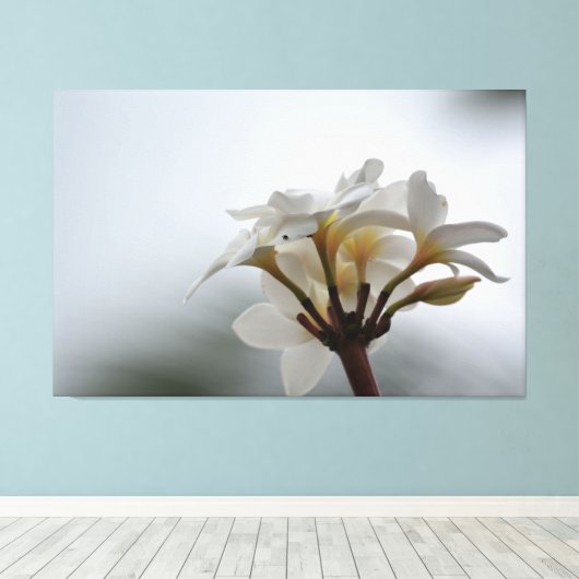 Plumeria Bloemen Hawaï Canvas Afdruk (Insitu (Houten vloer))