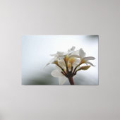 Plumeria Bloemen Hawaï Canvas Afdruk (Voorkant)