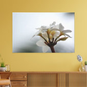 Plumeria Bloemen Hawaï Canvas Afdruk (Insitu (Woonkamer))