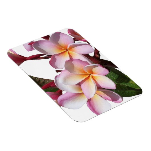 Plumeria Bloemen Premium Magnet Magneet (Rechterzijde)