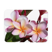 Plumeria Bloemen Premium Magnet Magneet (Horizontaal)