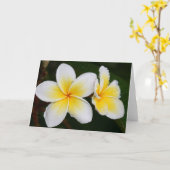 Plumeria Bloesems Kaart (Gele Bloem)