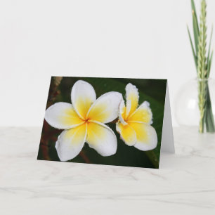 Plumeria Bloesems Kaart