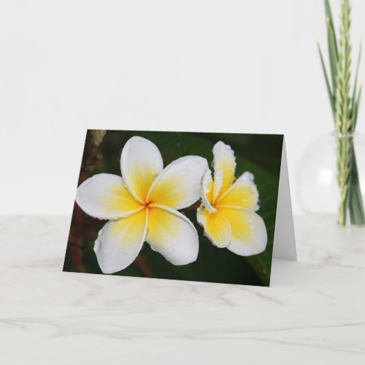 Plumeria Bloesems Kaart (Voorkant)