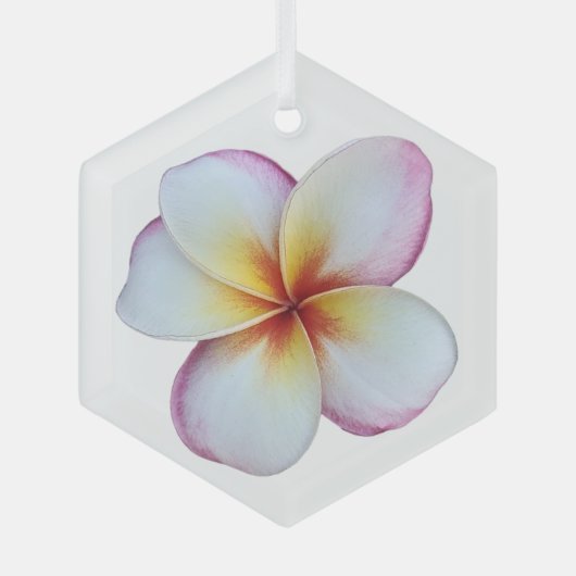 Plumeria Bloom Glass Ornament (Voorkant)