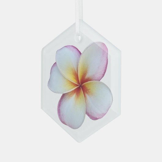 Plumeria Bloom Glass Ornament (Voorkant links)