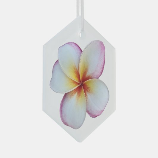 Plumeria Bloom Glass Ornament (Voorkant Rechts)