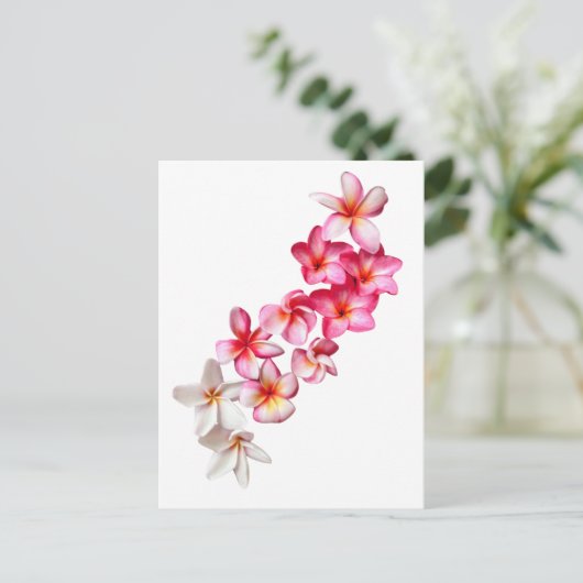 Plumeria Blooms Collage  Briefkaart (Staand voorkant)