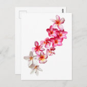 Plumeria Blooms Collage Briefkaart (Voorkant / Achterkant)