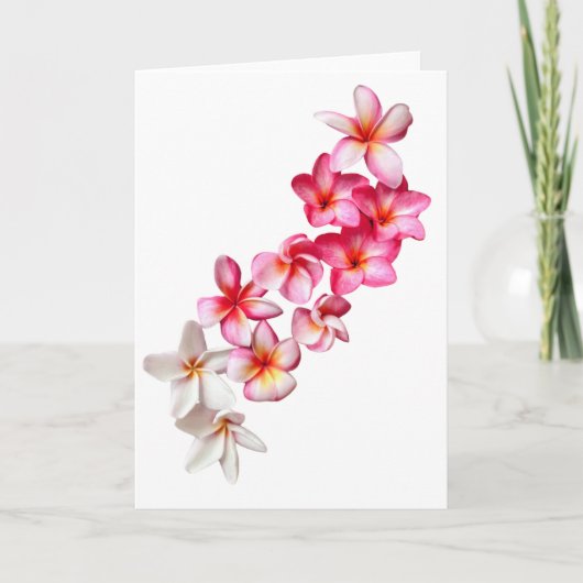 Plumeria Blooms Collage Folded Greeting Card Kaart (Voorkant)