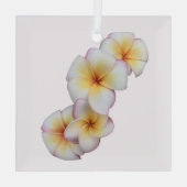 Plumeria Blooms Glass Ornament (Achterkant)