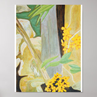 Plumeria Blooms in de Waterverf Creekbed Poster