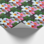 Plumeria blos frangipani cadeaupapier (Hoek)