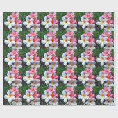 Plumeria blos frangipani cadeaupapier (Vlak)