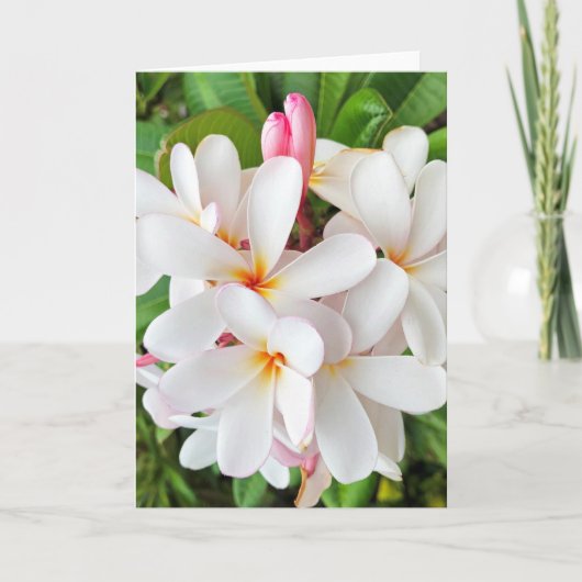 Plumeria Blossom Kaart (Voorkant)