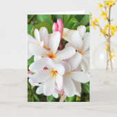 Plumeria Blossom Kaart (Gele Bloem)