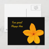Plumeria Briefkaart (Voorkant / Achterkant)