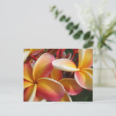 plumeria briefkaart (Staand voorkant)