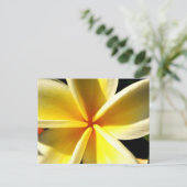 plumeria briefkaart (Staand voorkant)