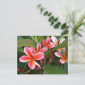 Plumeria-Briefkaart Briefkaart (Staand voorkant)