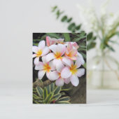 Plumeria (Briefkaart) Briefkaart (Staand voorkant)