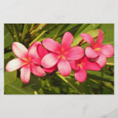 Plumeria Briefpapier (Voorkant)
