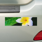 plumeria bumpersticker (Op auto)