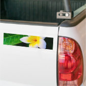 plumeria bumpersticker (Op Truck)