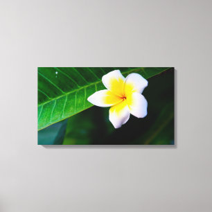 plumeria canvas afdruk