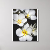 Plumeria Canvas Afdruk (Voorkant)