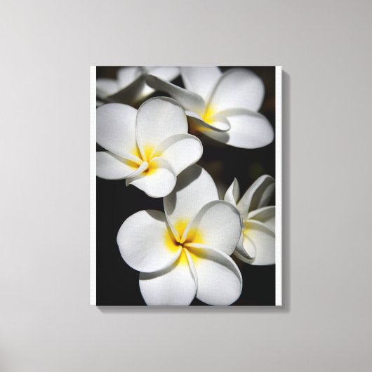 Plumeria Canvas Afdruk (Voorkant)
