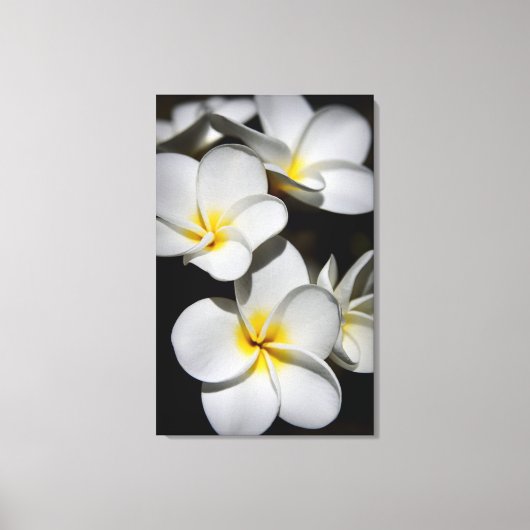 Plumeria Canvas Afdruk (Voorkant)