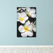 Plumeria Canvas Afdruk (Insitu (Houten vloer))