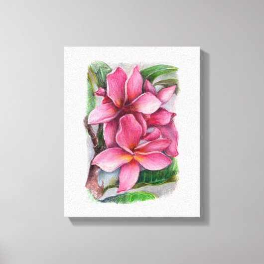 Plumeria Canvas Print (Voorkant)