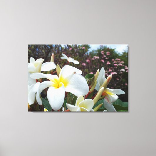 Plumeria Canvas Print 1 (Voorkant)