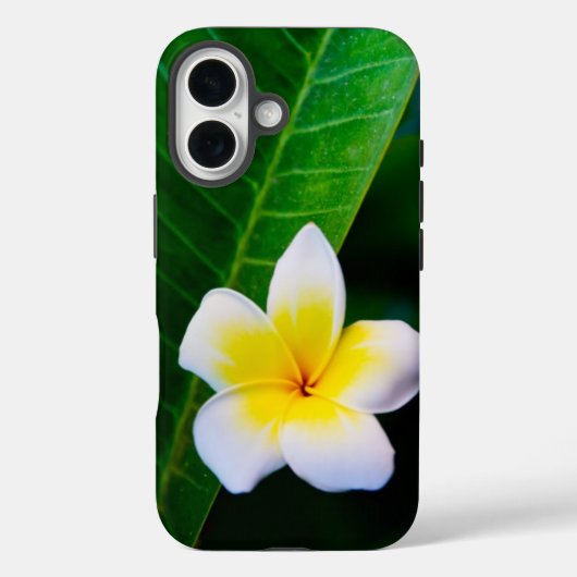plumeria Case-Mate iPhone case (Achterkant)