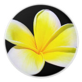 Plumeria Drawer Knob Keramische Knop (Voorkant)