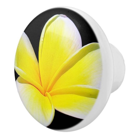 Plumeria Drawer Knob Keramische Knop (Rechts)