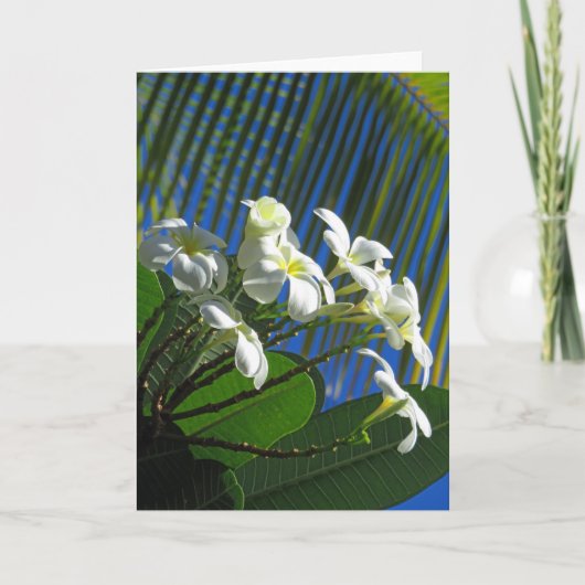 Plumeria en Palm Kaart (Voorkant)