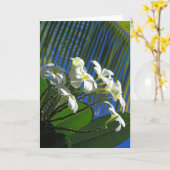 Plumeria en Palm Kaart (Gele Bloem)