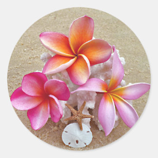 Plumeria en schelpen op Sandy Beach Sticker