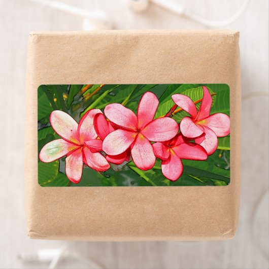 plumeria etiket (Insitu)