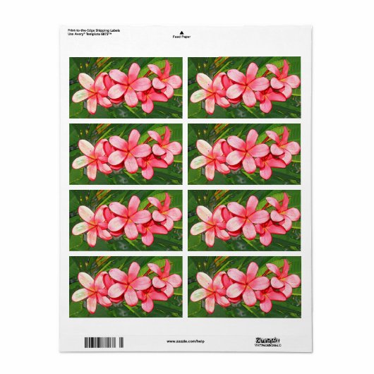 plumeria etiket (Full Sheet)