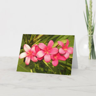 Plumeria Feestdagen Kaart