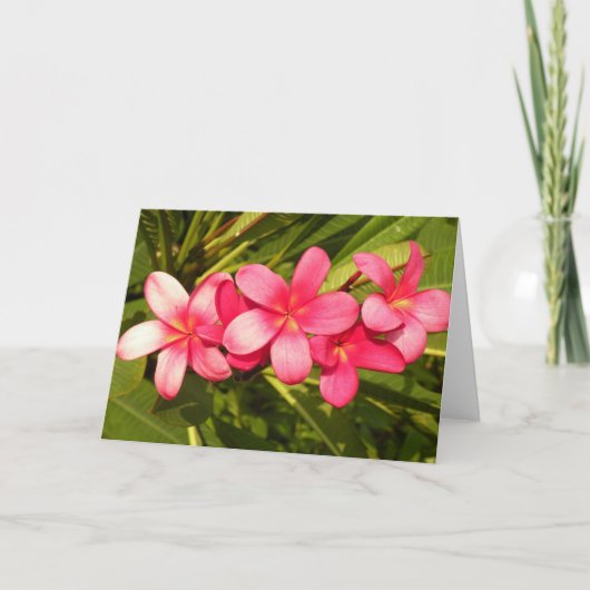 Plumeria Feestdagen Kaart (Voorkant)